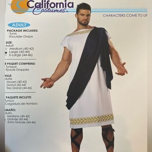 Grecian Toga Costume